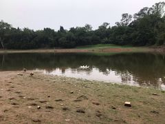 -三岔湖景区