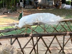 -昆明动物园