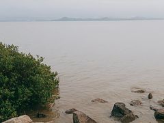 -深圳湾公园(南山区)
