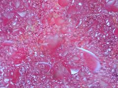 -济南方特东方神画