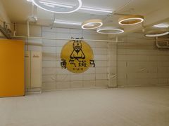 -勇气斑马·巴西柔术&跆拳道(浦东三林店)
