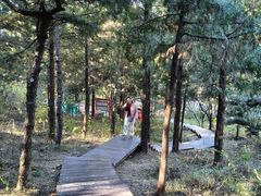 -北京十三陵国家森林公园蟒山景区