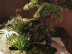 -湘邻呷铺·田园家宴(汉基广场店)