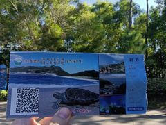 -广东惠东海龟国家级自然保护区