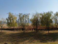 -汉江湾体育公园