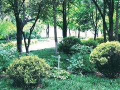 -木塔寺遗址生态公园
