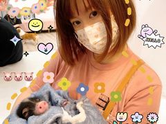 -浣熊柯尔鸭土拨鼠·电玩咖