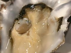 生蚝-Marina厨房·ALA精酿(月湖盛园店)