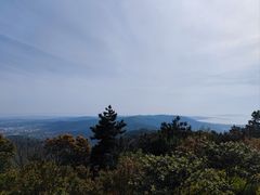 -东山风景区(洞庭东山)