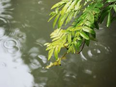 -西溪南古村落
