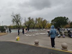 -上海交通大学闵行校区-包玉刚图书馆