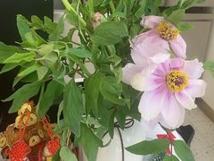 -啊噗吐呦现场烘焙(麦凯乐店)