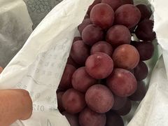 -马陆小张葡萄园农家乐