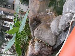 android_upload_pic-龙达温泉生态城