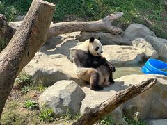 -宁波野生动物园