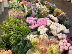 -双季花艺园艺市场(浦东店)