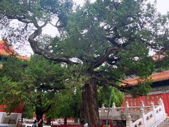 -北京国子监胡同