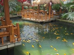 -南宫五洲植物乐园