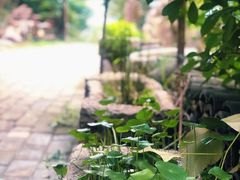 -湖南省地质博物馆