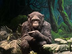 -国家自然博物馆