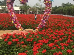 景点-广东花都香草世界旅游度假区