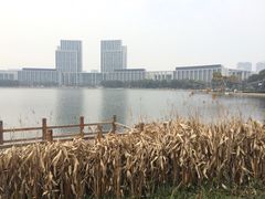 -尚贤河湿地