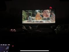 -枫花园汽车电影院(朝阳公园店)