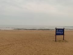 -日照海滨国家森林公园