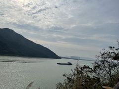 -羚羊峡古栈道森林公园