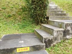 -天鹿湖森林公园