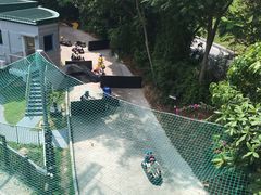 -圣淘沙天际线斜坡滑车