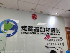 -宠福鑫动物医院(城北分院)