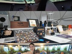 -上海佘山世茂艾美酒店