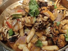 -魔石泡泡鱼(当涂店)