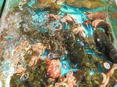 -老宅原住民沙茶面精品小吃(龙头路店)