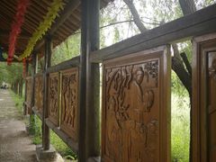 -长兴太湖图影湿地文化园