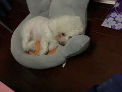 -证大大拇指广场(芳甸路店)