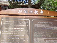 -兴教寺