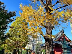 -浅草寺