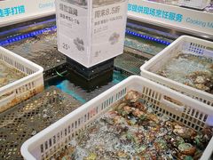 -盒马鲜生(公园1903店)