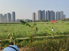 -光明小镇欢乐田园