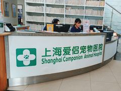 -爱侣宠医·鹦鹉专科·小型哺乳类·异宠专科(灵石路店)