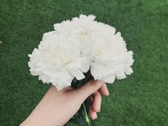 -红星渔村(将军石店)