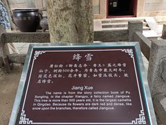 -青岛崂山太清宫