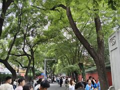 -北京国子监胡同