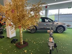-北京亚奥福瑞福特4S店(北苑家园店)
