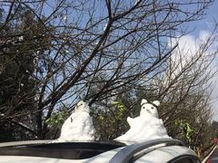 -铁山坪森林公园