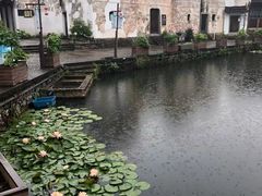-东梓关景区村庄