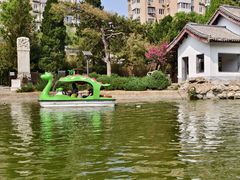 -团结湖公园