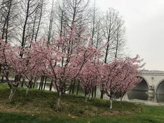 -尚贤河湿地